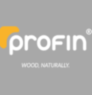 ������������� ���������� ���� Profin